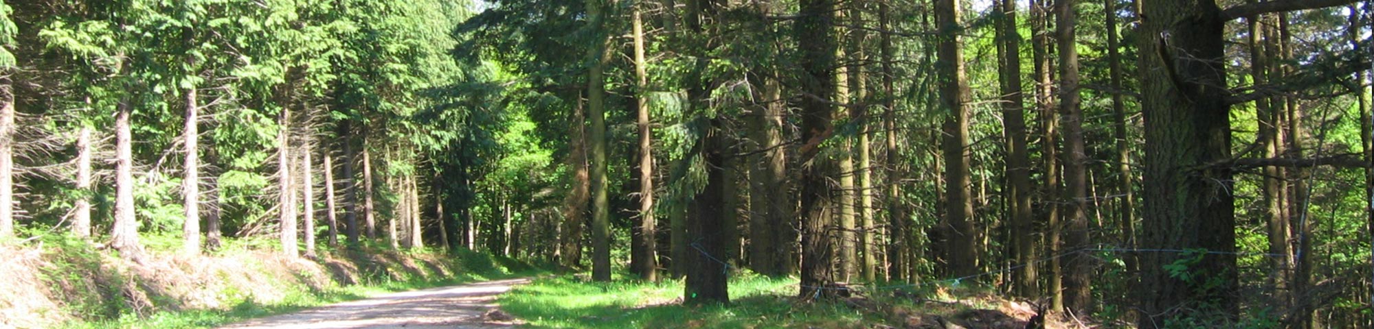 chemins de randonnées des Martys