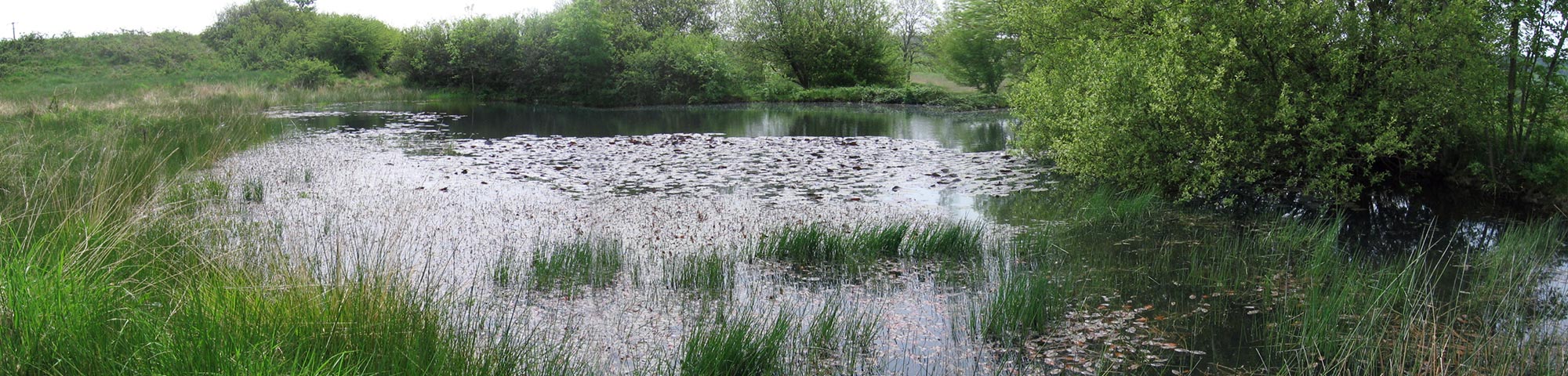 étangs des martys