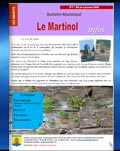 Bulletin municipal n°7